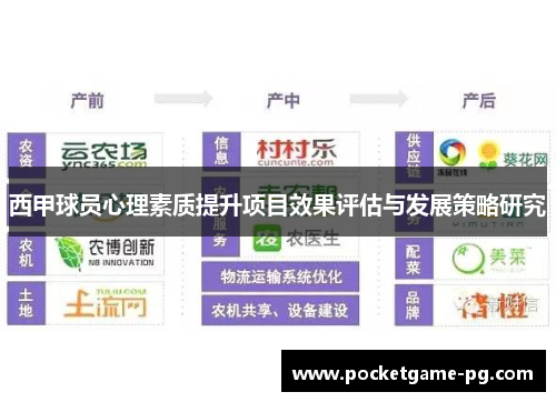 西甲球员心理素质提升项目效果评估与发展策略研究