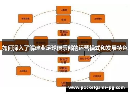 如何深入了解建业足球俱乐部的运营模式和发展特色